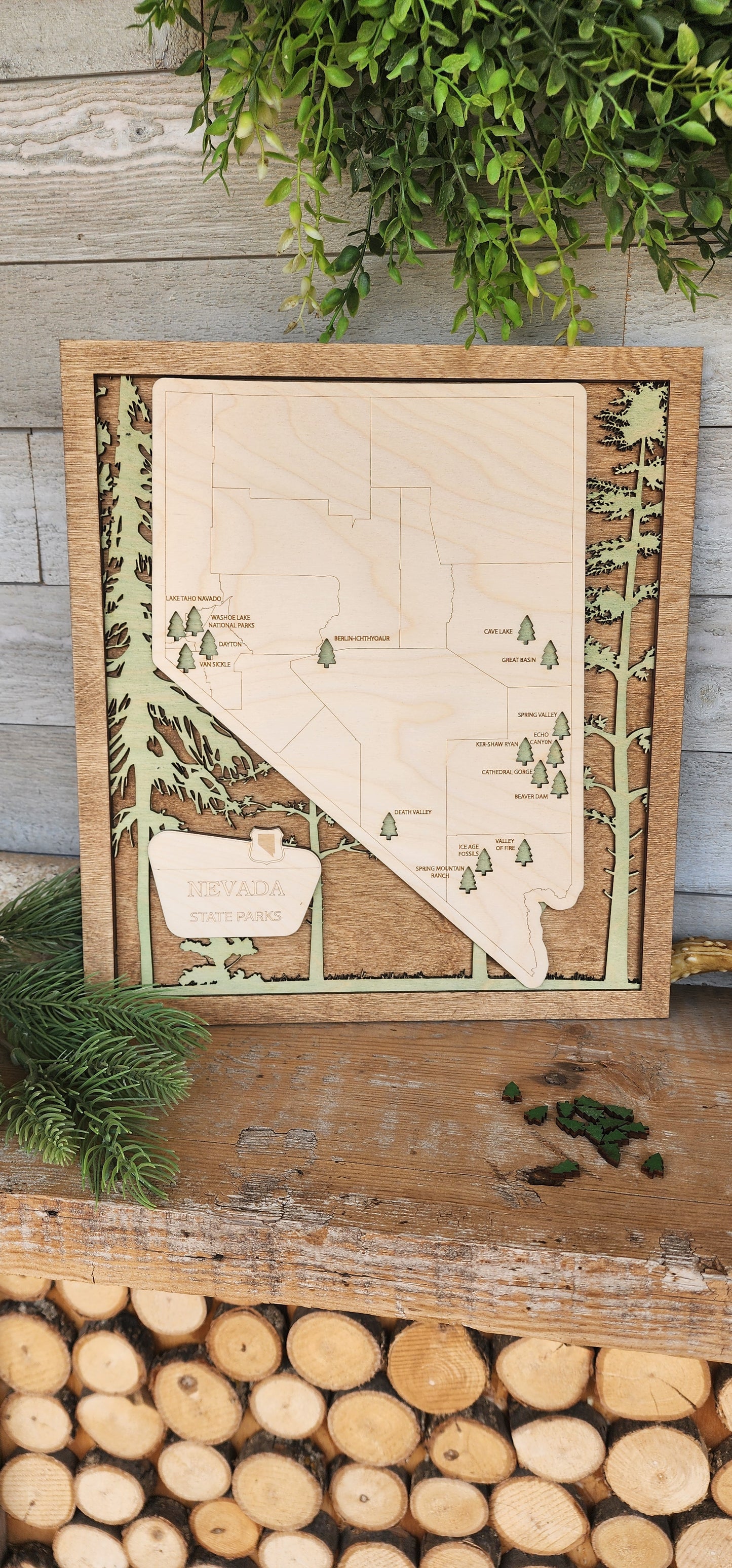 Nevada State Park Map, NE Gifts, Park Ranger Gifts, Family Car Games