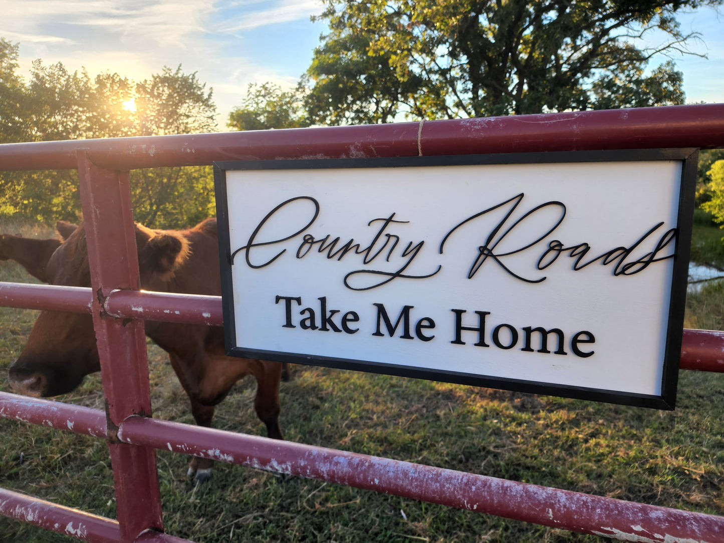 Country Roads Take Me Home Sign