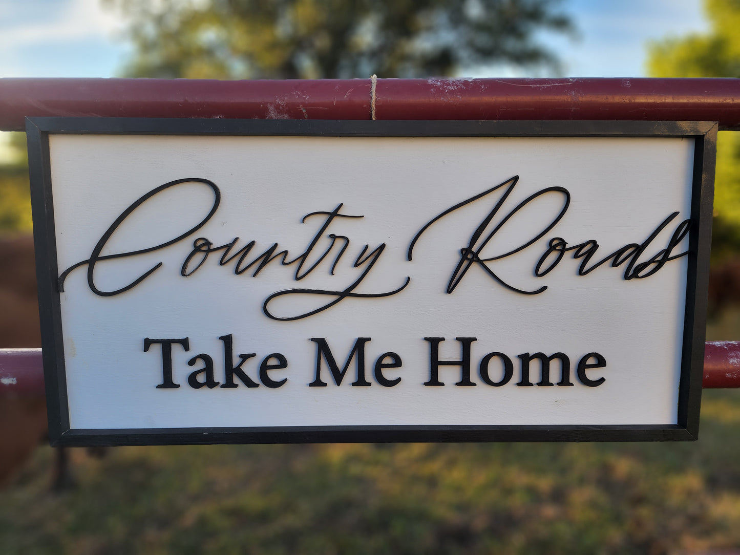 Country Roads Take Me Home Sign