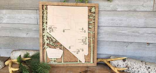 Nevada State Park Map, NE Gifts, Park Ranger Gifts, Family Car Games